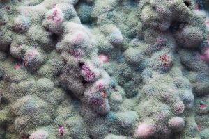 How to Find Mold in Orange County Homes When There Is a Strong Mildew Smell