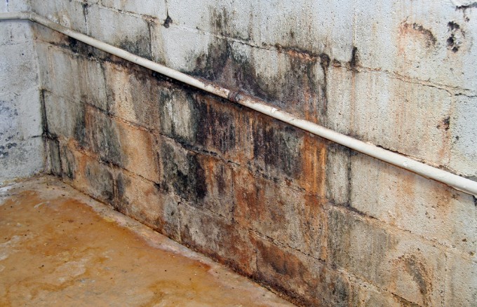 Orange County Mold Residential