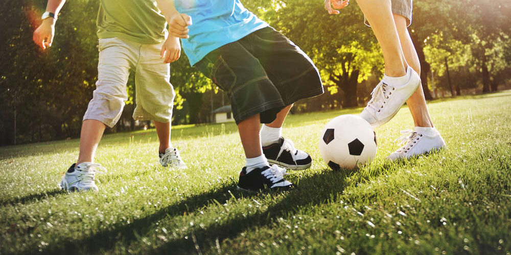 Lead Contamination of Soil, Backyards, and Playgrounds Lead Contamination of Soil, Backyards, and Playgrounds | Harbor Environmental