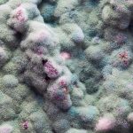 Fireplace Mold In Your San Bernardino County Home | Harbor Environmental
