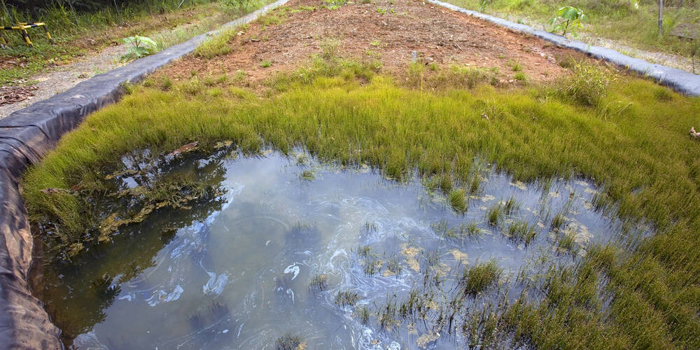 Soil Remediation and Soil Remediation Planning Soil Remediation and Soil Remediation Planning | Harbor Environmental